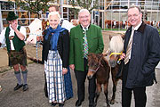 Presserundgang mit Ponyfohlen Showgirl, v.r.: BBV-Präsident Sonnleitner, Staatsminister Miller, Landesbäuerin Biechl - mit Kuh Luzy, Ponys Sandy und Showgirl (Foto: Martin Schmitz)